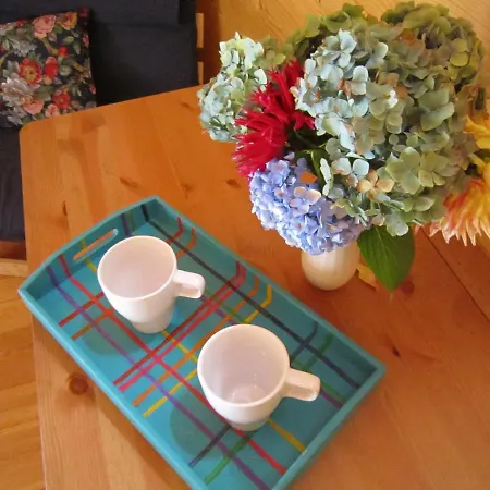 招待所 Ca Dal Cros 3*