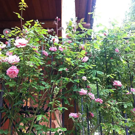 Ca Dal Cros Pensionat