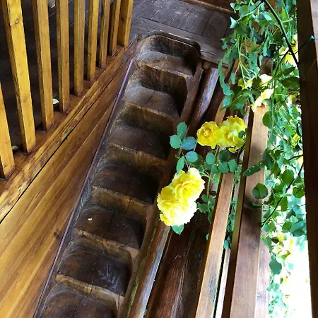 招待所 Ca Dal Cros 坎佩尔托尼奥